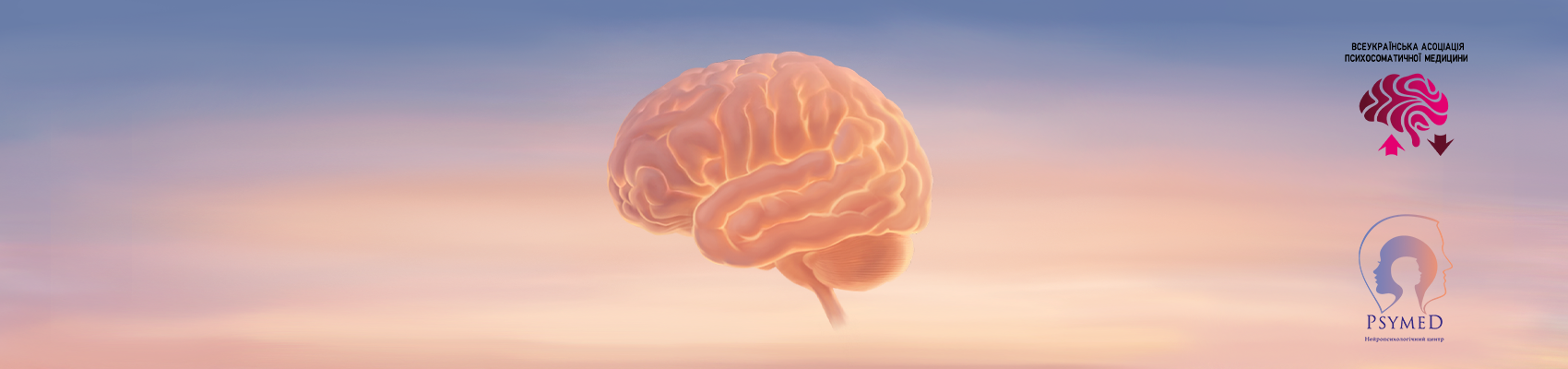 Нейропсихологія дитинства та дорослості: сучасна клінічна практика